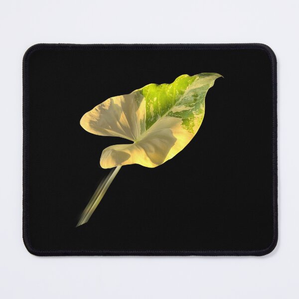 Item preview, Alocasia leaf designed and sold by Meo Design.