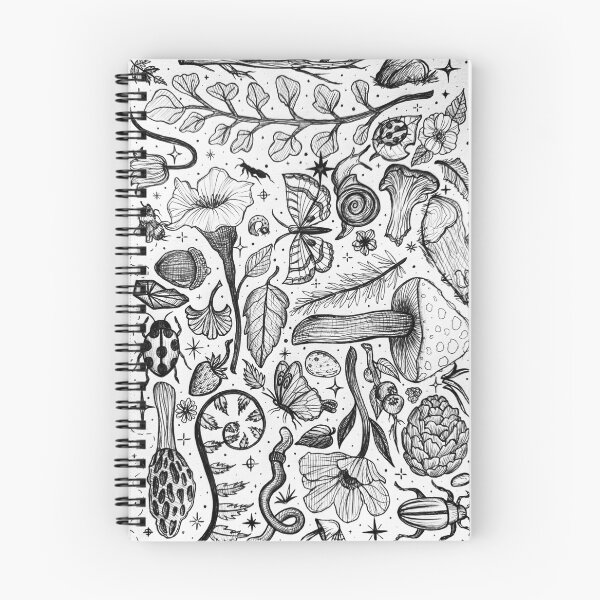Item preview, Foraging for Sketches designed and sold by StudioRosebud.