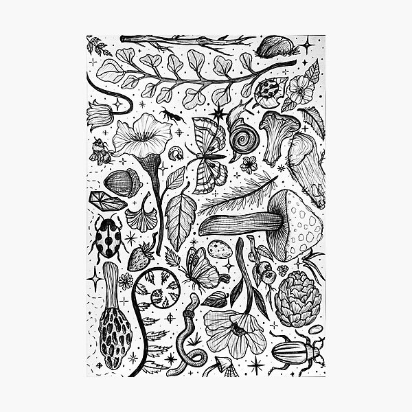Item preview, Foraging for Sketches designed and sold by StudioRosebud.