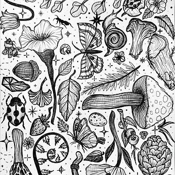Artwork thumbnail, Foraging for Sketches by StudioRosebud