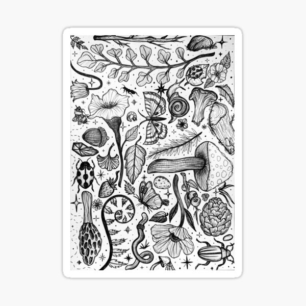 Item preview, Foraging for Sketches designed and sold by StudioRosebud.