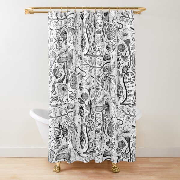 Item preview, Foraging for Sketches designed and sold by StudioRosebud.