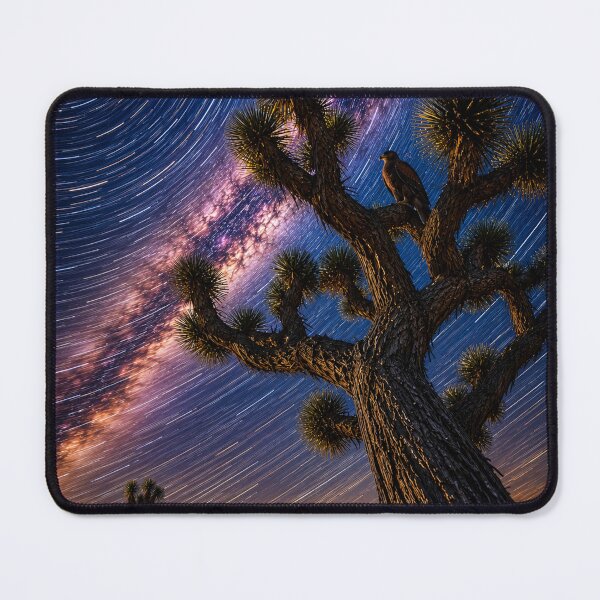 Item preview, Celestial Roost Over Joshua Tree designed and sold by Kimberly Palmer.