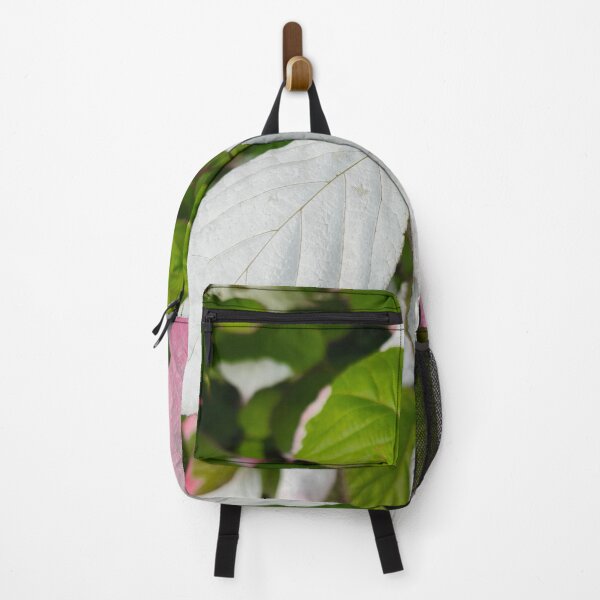 Item preview, Tricolor kiwi vine variegated leaf designed and sold by Kainicram.