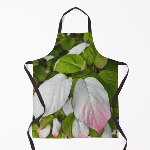 Item preview, Tricolor kiwi vine variegated leaf designed and sold by Kainicram.