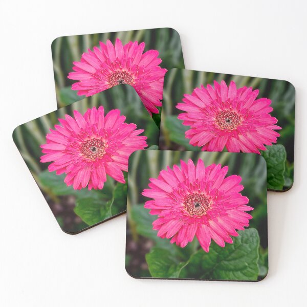 Item preview, Pink Gerbera Daisy designed and sold by MaddysMStudio.