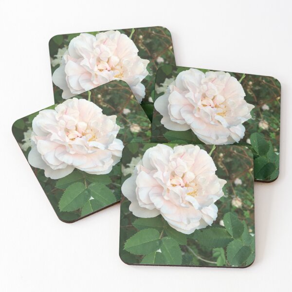 Item preview, Large Light Pink Rose DaisyMaisyPaisy designed and sold by DaisyMaisyPaisy.