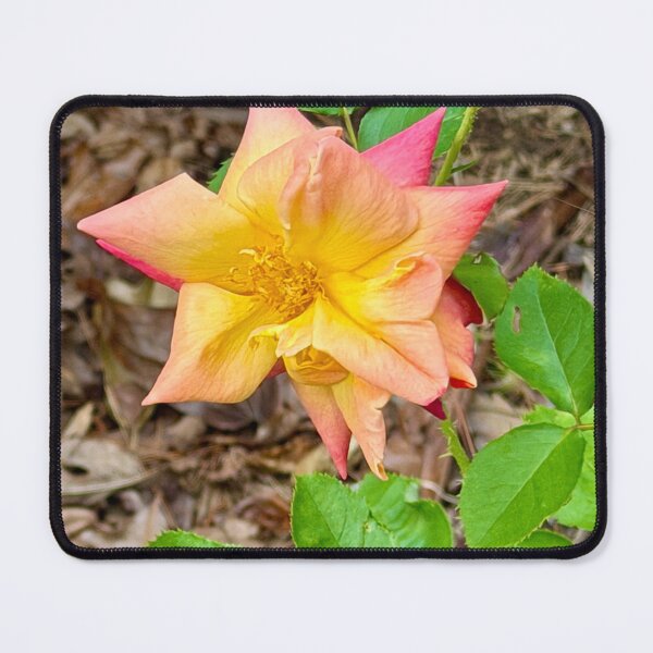 Item preview, Spring Rose designed and sold by Marielle Valenzuela.