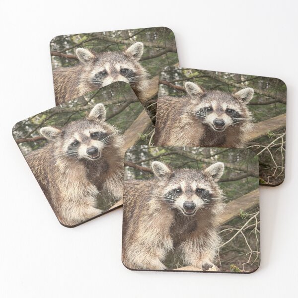 Item preview, Grinning Raccoon designed and sold by Richard W J Conyard.