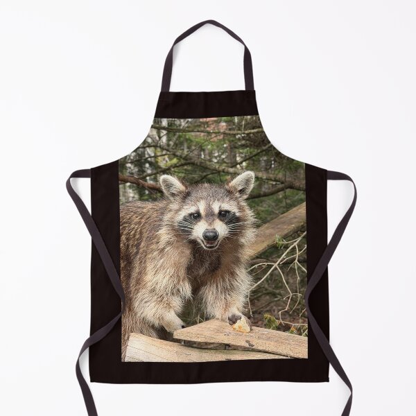 Item preview, Grinning Raccoon designed and sold by Richard W J Conyard.