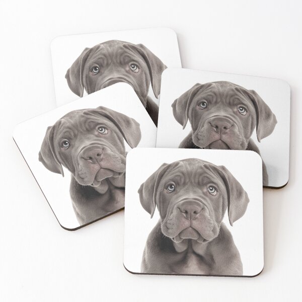 Item preview, Adorable Neapolitan Mastiff pup for Cute Neapolitan Mastiff puppy lovers designed and sold by LazyOwlStore.