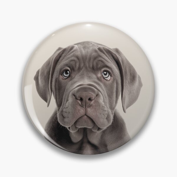 Item preview, Adorable Neapolitan Mastiff pup for Cute Neapolitan Mastiff puppy lovers designed and sold by LazyOwlStore.