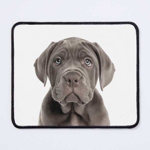 Item preview, Adorable Neapolitan Mastiff pup for Cute Neapolitan Mastiff puppy lovers designed and sold by LazyOwlStore.