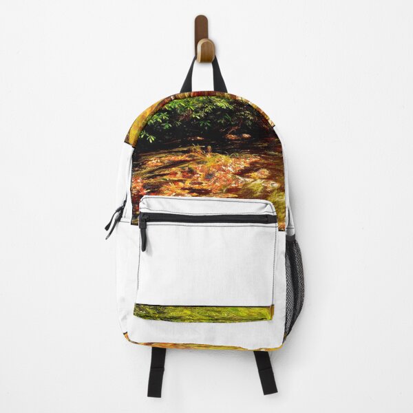 Item preview, Pennsylvania, Pocono Mountain Stream in Autumn designed and sold by AMacGPhilly.