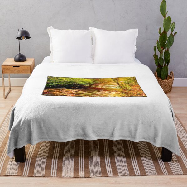 Item preview, Pennsylvania, Pocono Mountain Stream in Autumn designed and sold by AMacGPhilly.