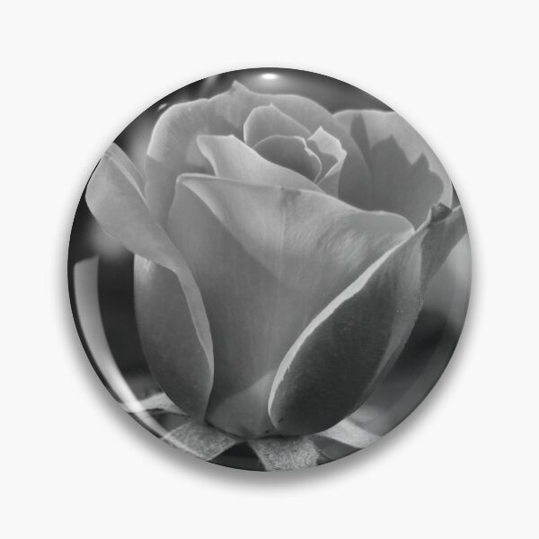 Item preview, black and white rose designed and sold by photographic contemplations.