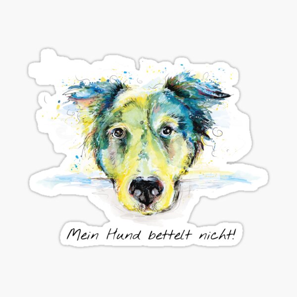 Mein Hund bettelt nicht. Sticker