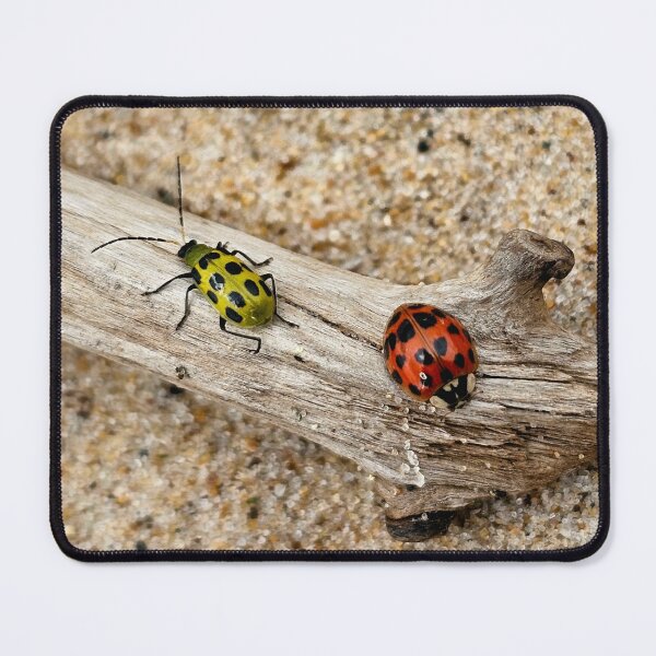 Item preview, Bug Buddies designed and sold by MaddysMStudio.