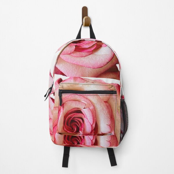 Item preview, Elegant Bicolor Pink and White Rose Isolated on White designed and sold by BalkanBloom.