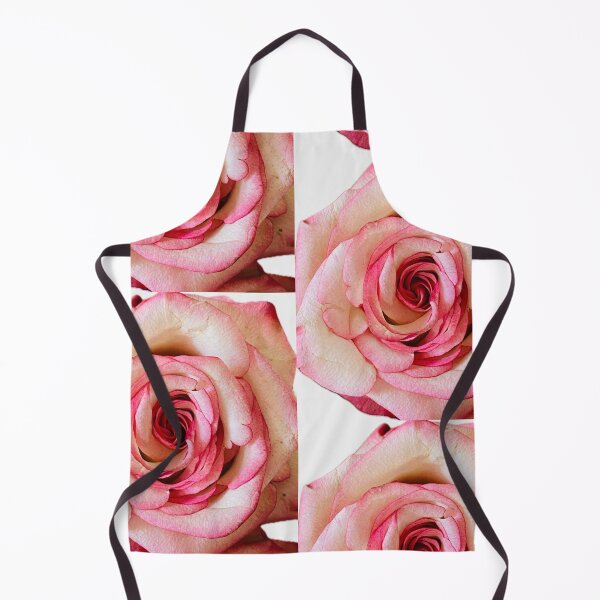 Item preview, Elegant Bicolor Pink and White Rose Isolated on White designed and sold by BalkanBloom.