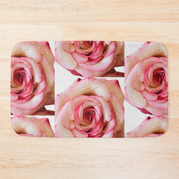 Item preview, Elegant Bicolor Pink and White Rose Isolated on White designed and sold by BalkanBloom.