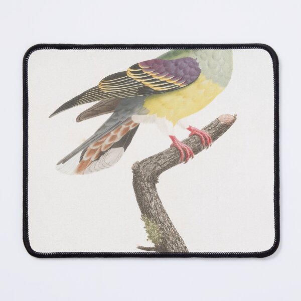 Item preview, Bruce's green pigeon by Pauline Knip (1811) From Les Pigeons designed and sold by Weird Visions.