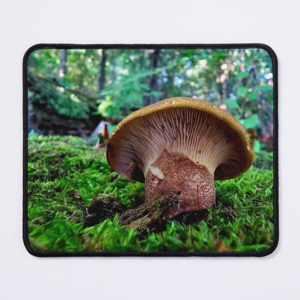 Item preview, Groovy Mushroom designed and sold by MaddysMStudio.