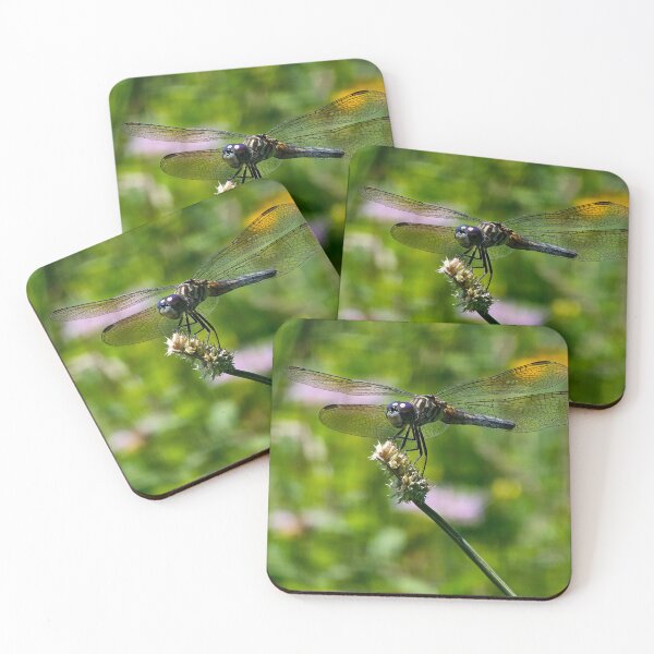 Item preview, Blue Dragonfly designed and sold by MaddysMStudio.