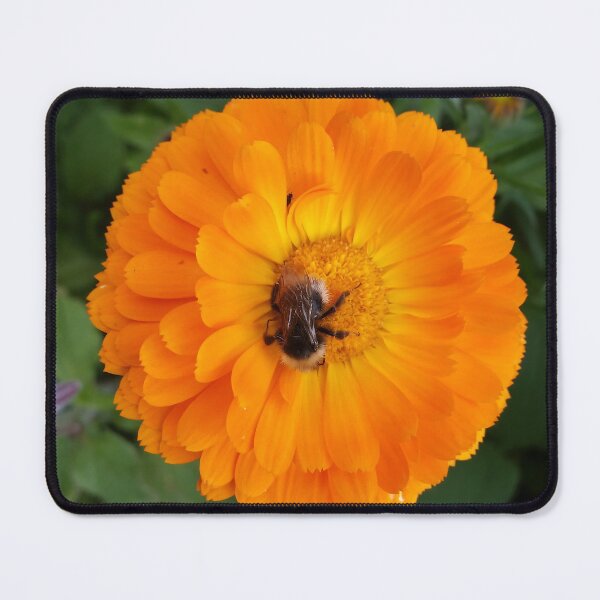 Item preview, Orange Flower and Bee designed and sold by CalmnessbyChoice.