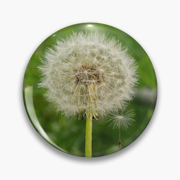 Item preview, Make A Wish designed and sold by MaddysMStudio.