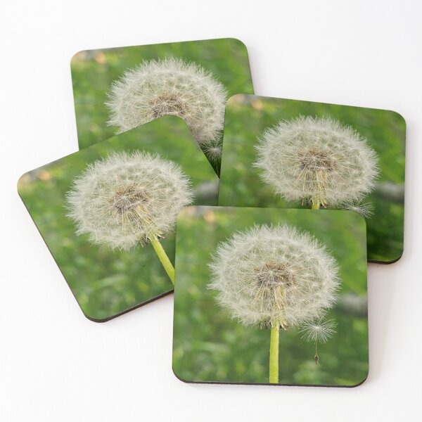 Item preview, Make A Wish designed and sold by MaddysMStudio.