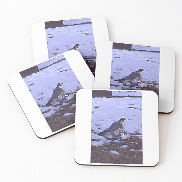 Item preview, The Focused Peregrine designed and sold by Threaded Focus.