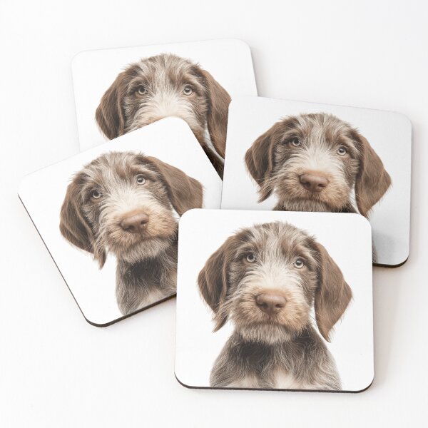 Item preview, Adorable Baby Spinone Italiano for Cute Spinone puppy lovers designed and sold by LazyOwlStore.