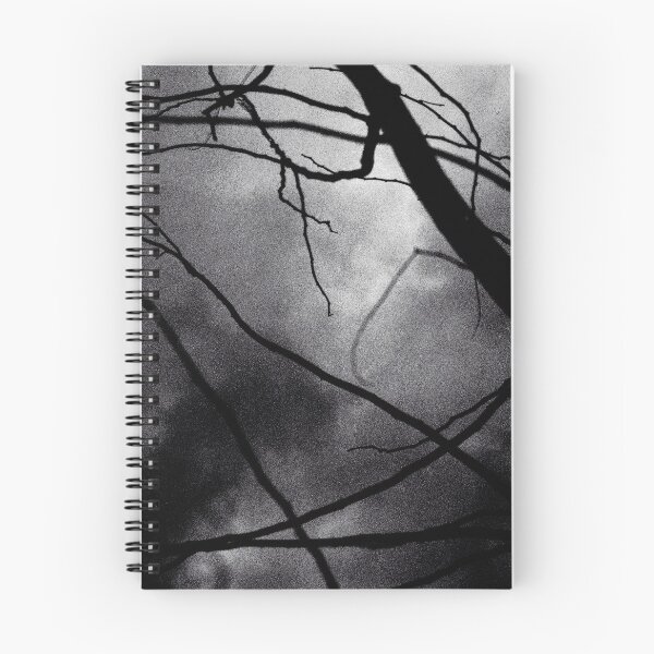 Item preview, Tree branches in silhouette against winter sky black and white silver gelatin 645 medium format film analog photo designed and sold by edwardolive.