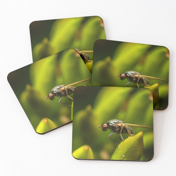 Item preview, Metallic Green — Fly Macro Portrait designed and sold by Rabee Khalil Photography.