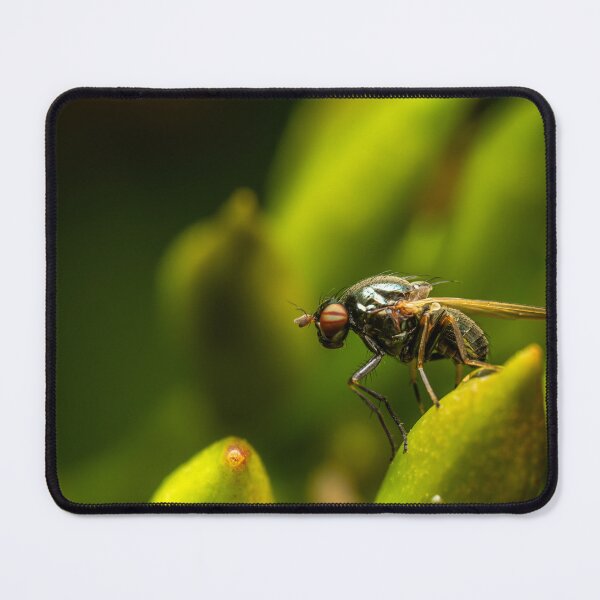 Item preview, Metallic Green — Fly Macro Portrait designed and sold by Rabee Khalil Photography.