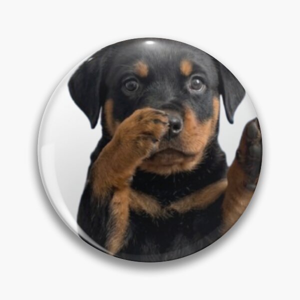 Item preview, Dance Dog Scuba designed and sold by Petsthetic.