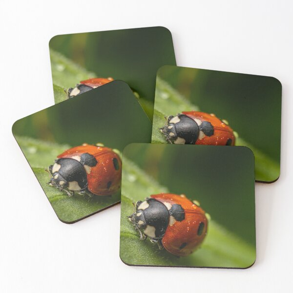 Item preview, Classic Red — Ladybug Macro on a Green Leaf designed and sold by Rabee Khalil Photography.