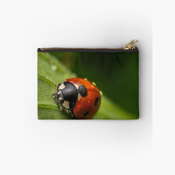 Item preview, Classic Red — Ladybug Macro on a Green Leaf designed and sold by Rabee Khalil Photography.