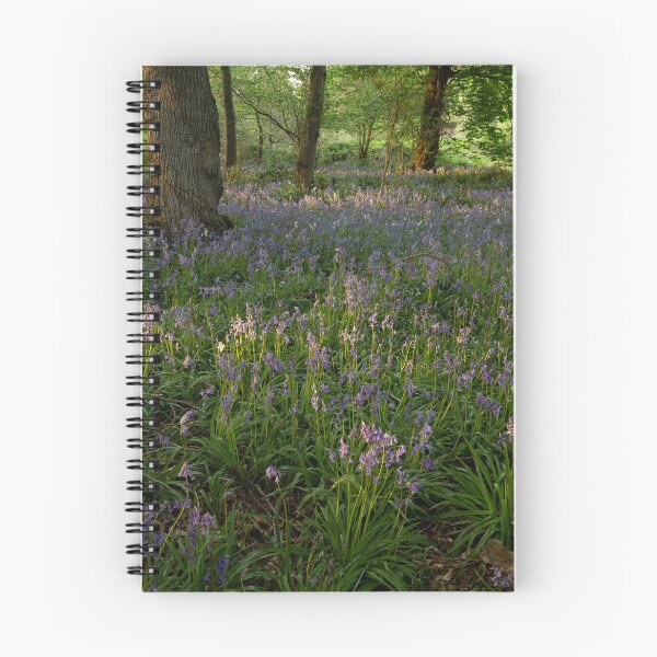 Item preview, wildflowers, fyvie designed and sold by codaimages.