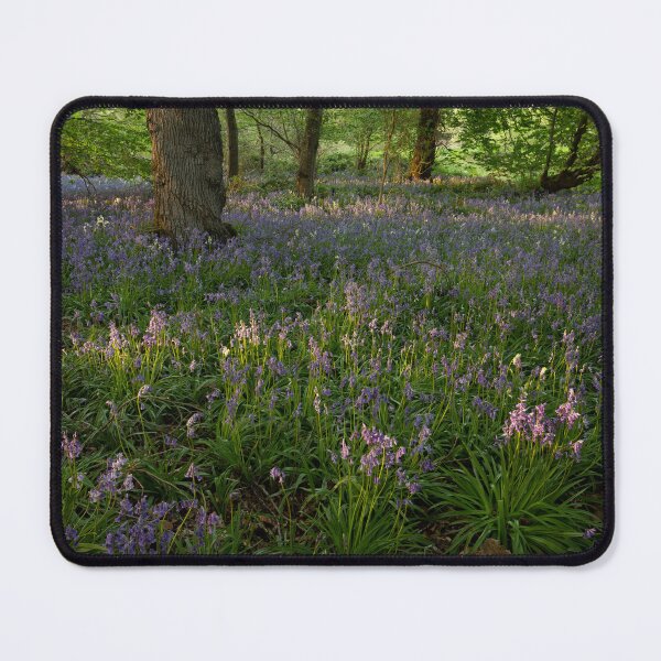 Item preview, wildflowers, fyvie designed and sold by codaimages.