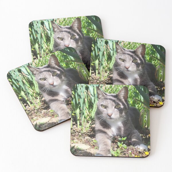 Item preview, Grey cat amongst the leeks designed and sold by AnthonyThomas.