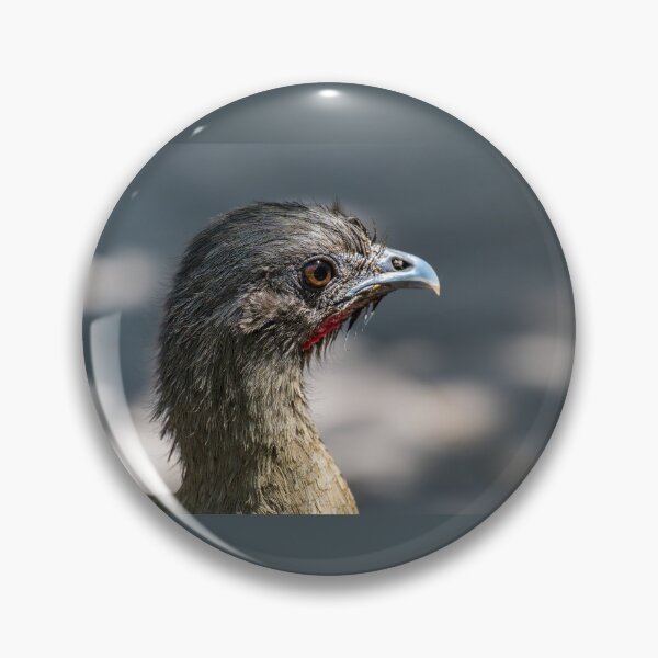 Item preview, Close-up of a Chachalaca designed and sold by Debra Martz.
