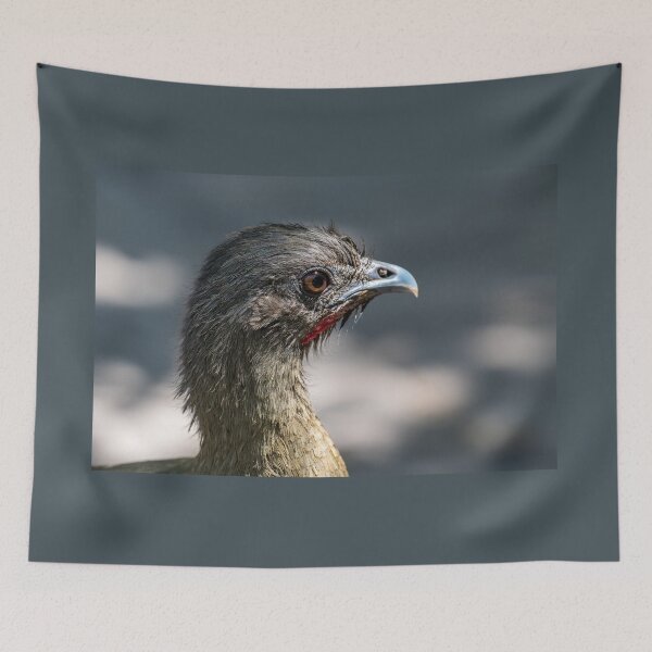 Item preview, Close-up of a Chachalaca designed and sold by Debra Martz.