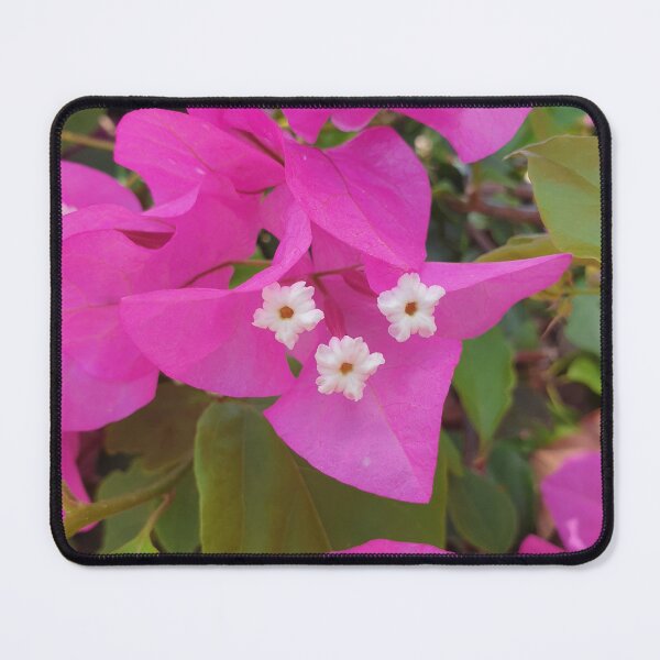 Item preview, Bougainvillea designed and sold by DianeValanga.