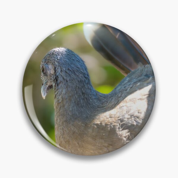 Item preview, Chachalaca with Spectacular Tail Feathers designed and sold by Debra Martz.