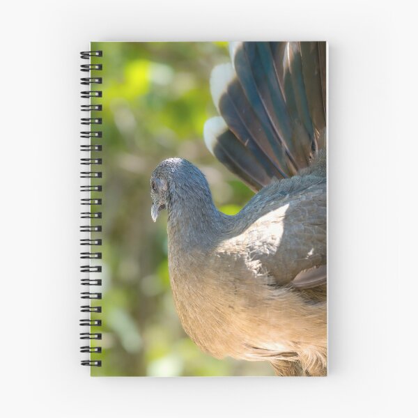 Item preview, Chachalaca with Spectacular Tail Feathers designed and sold by Debra Martz.