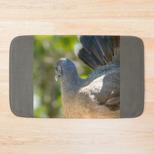 Item preview, Chachalaca with Spectacular Tail Feathers designed and sold by Debra Martz.