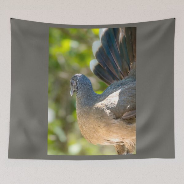 Item preview, Chachalaca with Spectacular Tail Feathers designed and sold by Debra Martz.