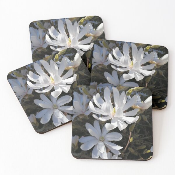 Item preview, Spring flowers in sunshine.  designed and sold by Beabopsy.
